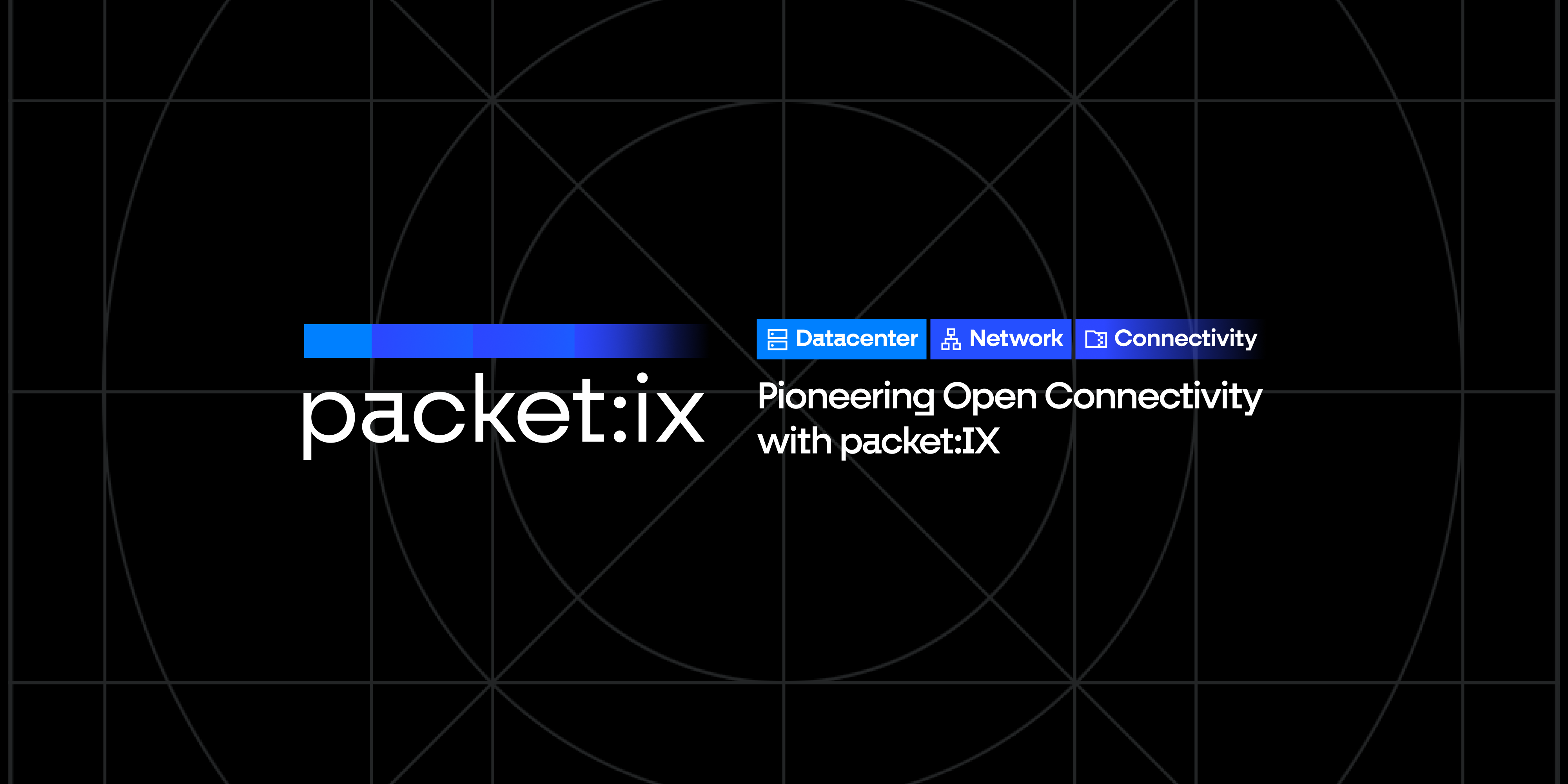 Pioneering Open Connectivity with packet:IX